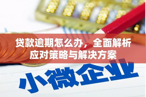 大宁贷款逾期怎么办，全面解析应对策略与解决方案