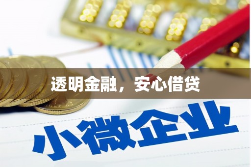 大宁透明金融，安心借贷