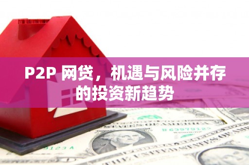 大宁P2P 网贷，机遇与风险并存的投资新趋势