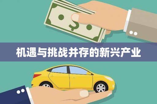 大宁机遇与挑战并存的新兴产业