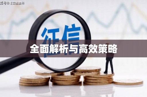 大宁全面解析与高效策略