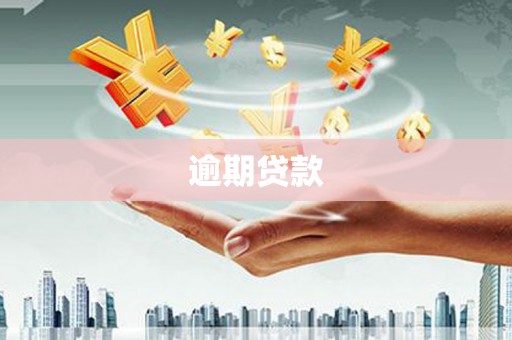 大宁逾期贷款