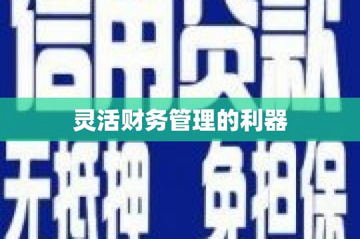 大宁灵活财务管理的利器