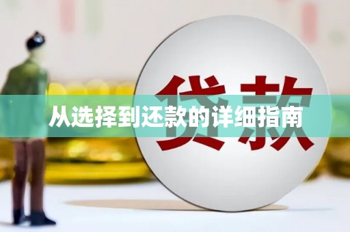 大宁从选择到还款的详细指南