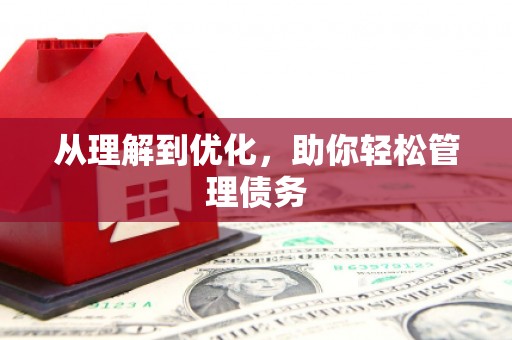 大宁从理解到优化，助你轻松管理债务