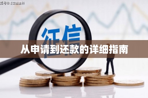 大宁从申请到还款的详细指南