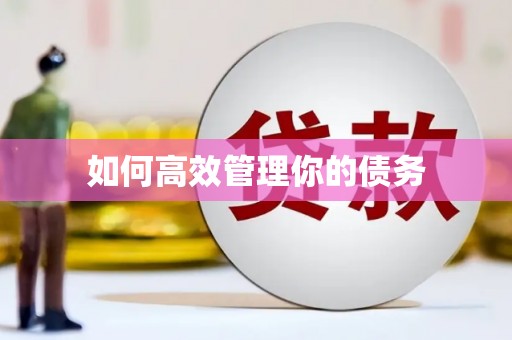 大宁如何高效管理你的债务