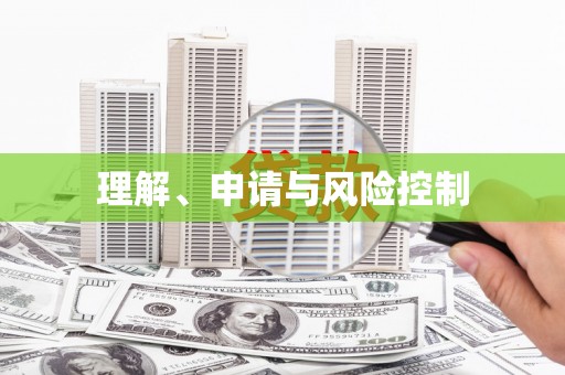 大宁理解、申请与风险控制