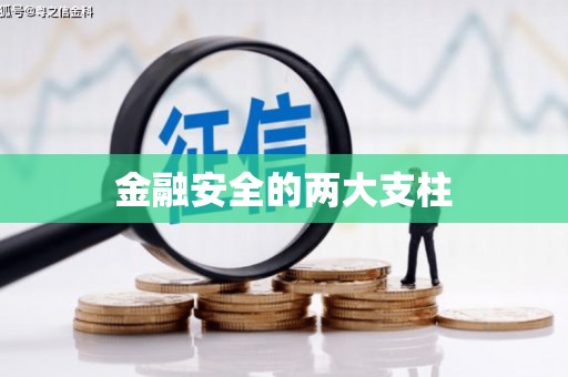 大宁金融安全的两大支柱