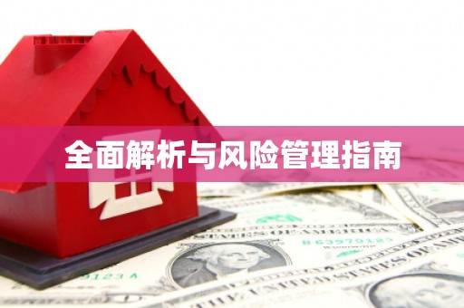 大宁全面解析与风险管理指南