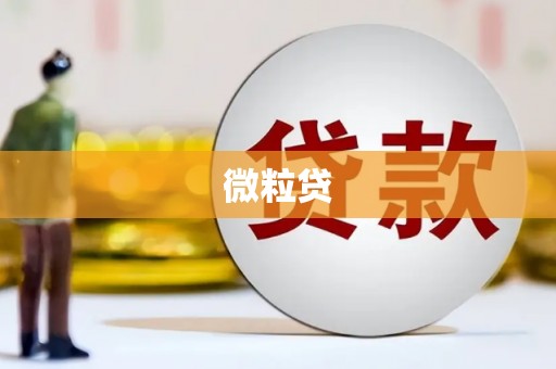 大宁微粒贷