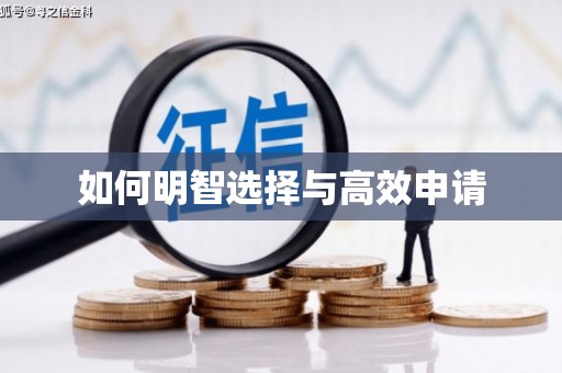 大宁如何明智选择与高效申请