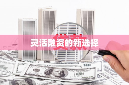 大宁灵活融资的新选择