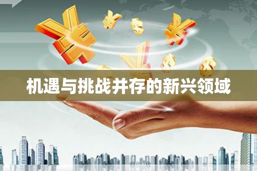 大宁机遇与挑战并存的新兴领域