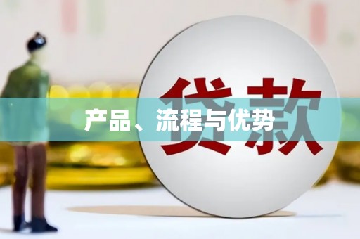 大宁产品、流程与优势