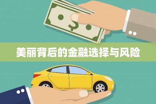 大宁美丽背后的金融选择与风险