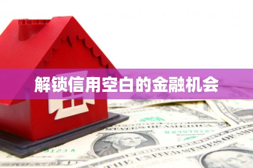 大宁解锁信用空白的金融机会