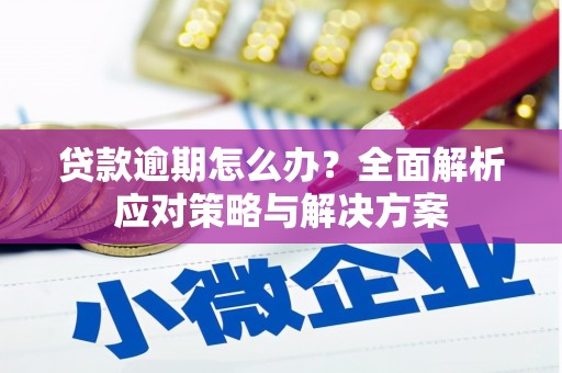 大宁贷款逾期怎么办？全面解析应对策略与解决方案