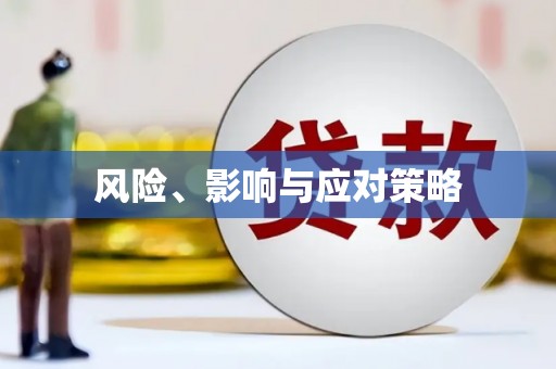 大宁风险、影响与应对策略