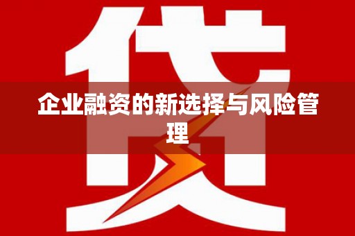 大宁企业融资的新选择与风险管理
