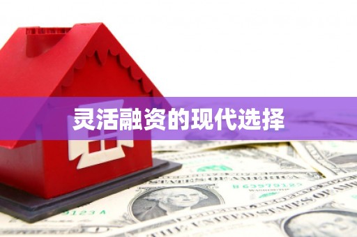 大宁灵活融资的现代选择