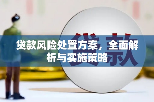 大宁贷款风险处置方案，全面解析与实施策略