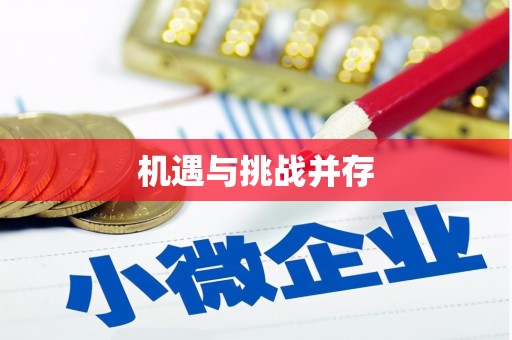 大宁机遇与挑战并存