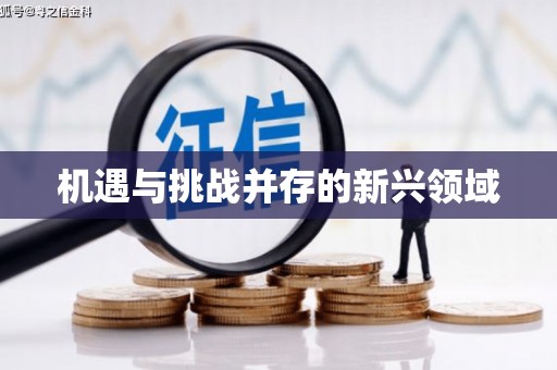大宁机遇与挑战并存的新兴领域