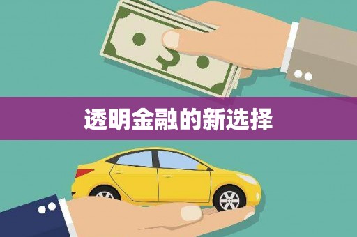 大宁透明金融的新选择