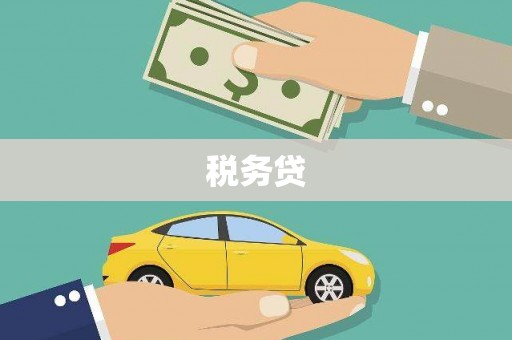 大宁税务贷