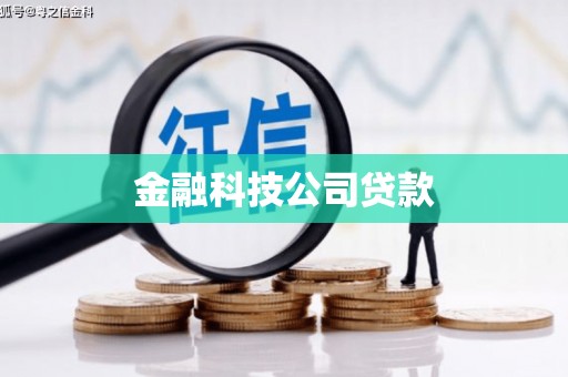 大宁金融科技公司贷款