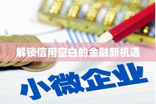 大宁解锁信用空白的金融新机遇