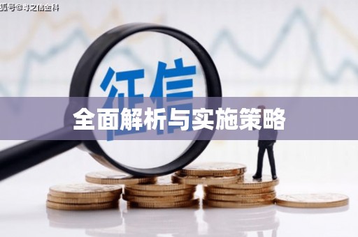 大宁全面解析与实施策略
