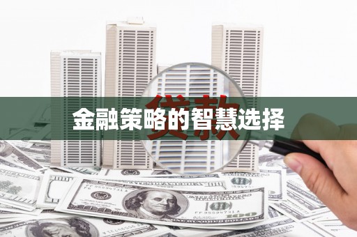 大宁金融策略的智慧选择
