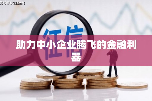 大宁助力中小企业腾飞的金融利器