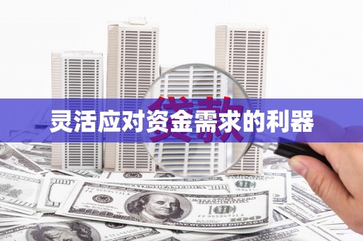 大宁灵活应对资金需求的利器