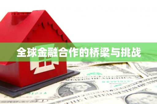 大宁全球金融合作的桥梁与挑战