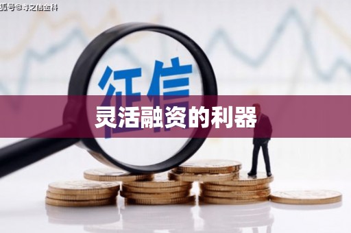 大宁灵活融资的利器