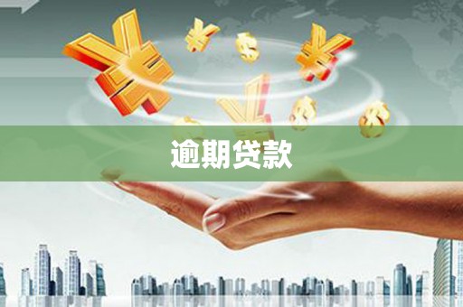 大宁逾期贷款