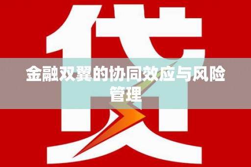 大宁金融双翼的协同效应与风险管理