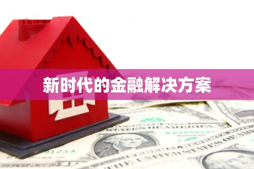 大宁新时代的金融解决方案