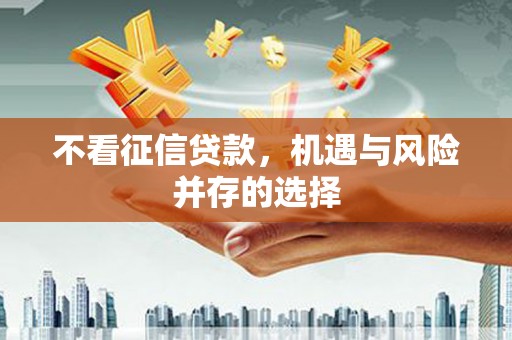 大宁不看征信贷款，机遇与风险并存的选择