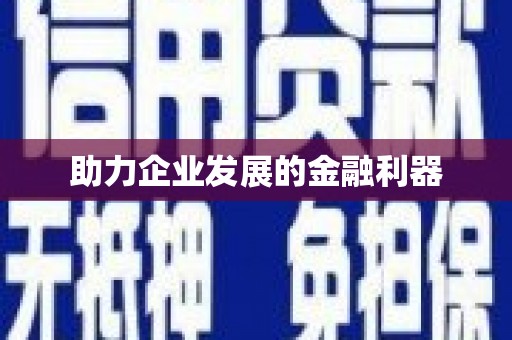 大宁助力企业发展的金融利器