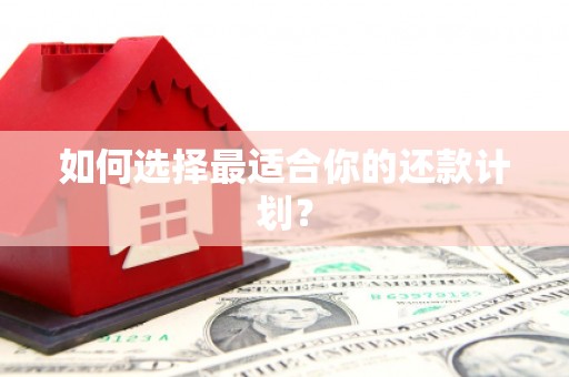 大宁如何选择最适合你的还款计划？