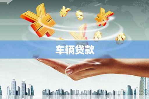 大宁车辆贷款