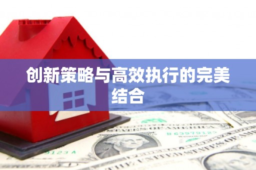 大宁创新策略与高效执行的完美结合