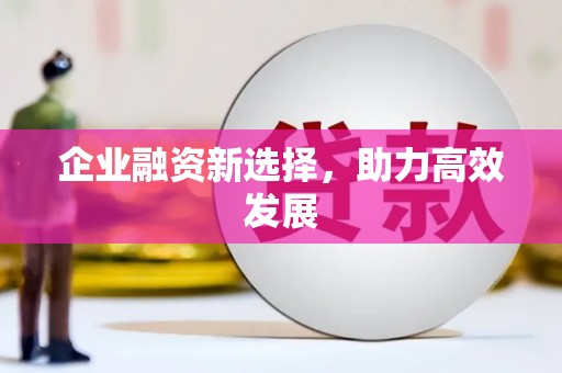 大宁企业融资新选择，助力高效发展