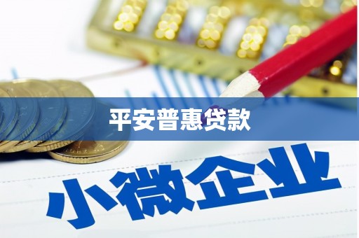 大宁平安普惠贷款