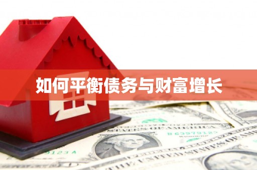 大宁如何平衡债务与财富增长
