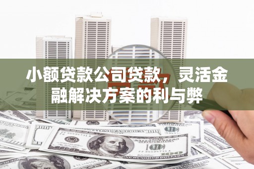 大宁小额贷款公司贷款，灵活金融解决方案的利与弊